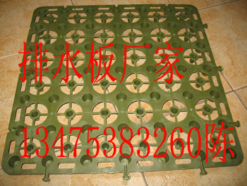 济南排水板厂家解析 蓄排水板价格与建筑建材应用