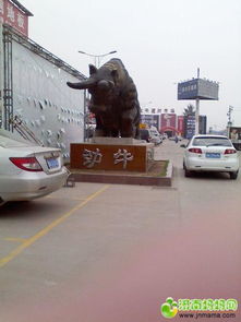 探访济南最老的建材市场——金牛建材市场，价格便宜还划算？